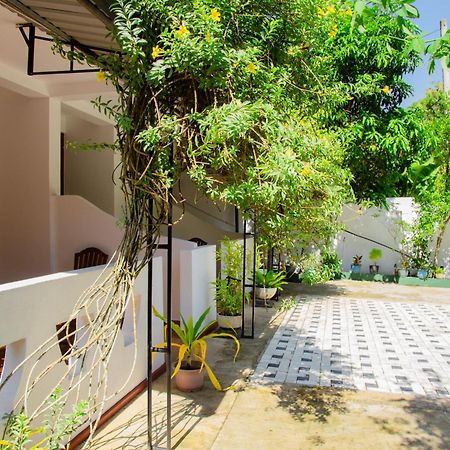 Hispaniola Inn Mirissa Kültér fotó